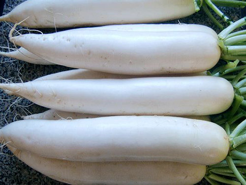 蔬菜批發(fā)