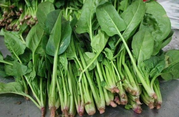 深圳送菜公司 春季吃什么蔬菜好？以下3種蔬菜不要錯(cuò)過(guò)