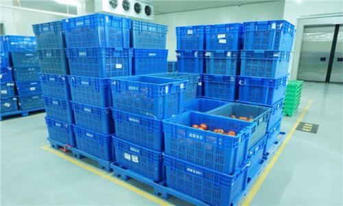 深圳送菜分享蔬菜食品的存放標(biāo)準(zhǔn)?